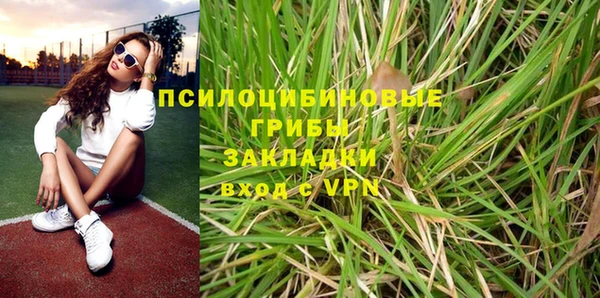 герыч Алексин