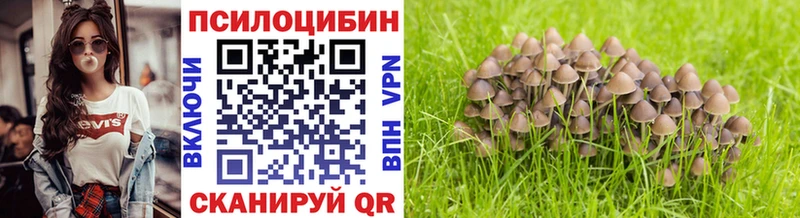 Псилоцибиновые грибы Magic Shrooms что такое наркотик kraken вход Курск