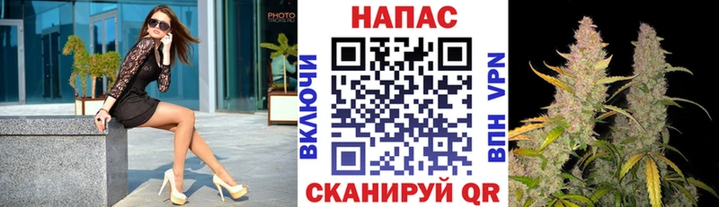 Конопля VHQ где купить наркоту Курск